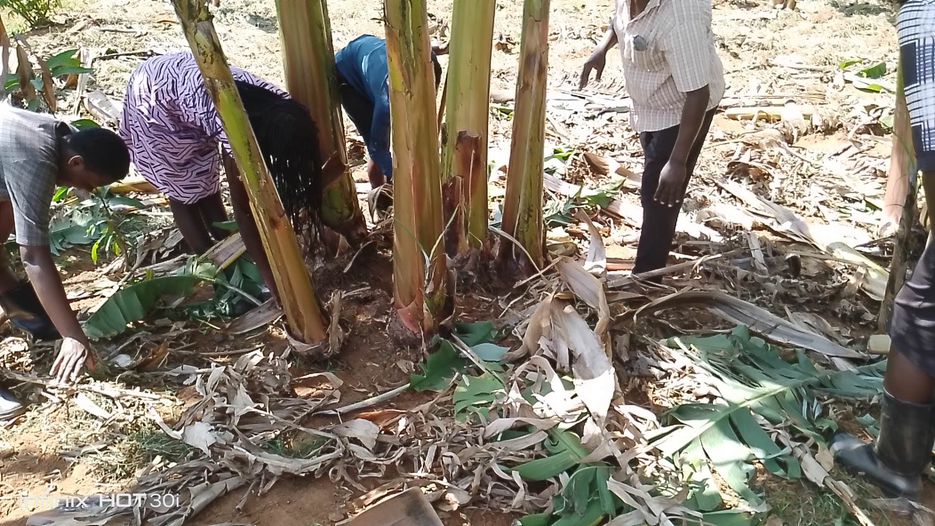 Students Practicing Agriculture